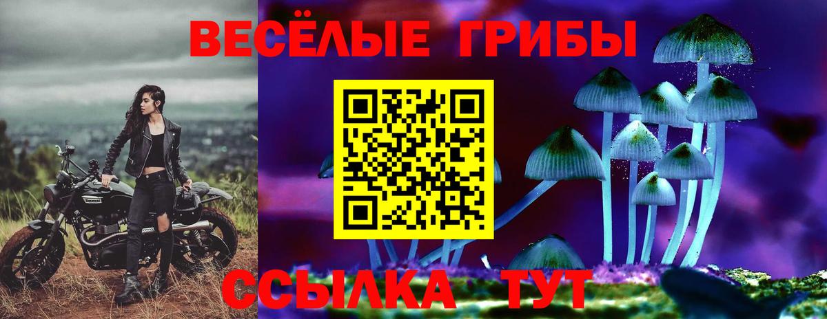 Галлюциногенные грибы мухоморы Домодедово